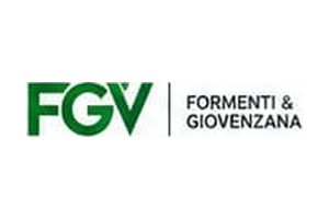 FGV Formenti